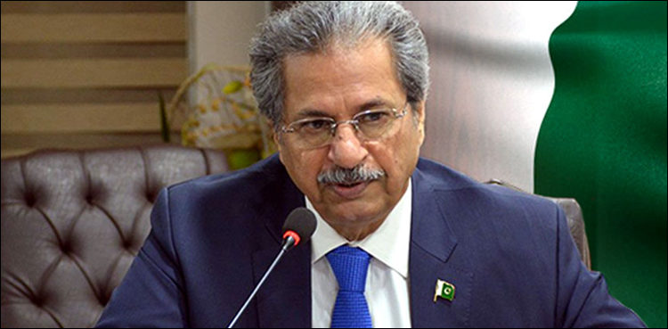 'Financial literacy to become part of new curriculum'