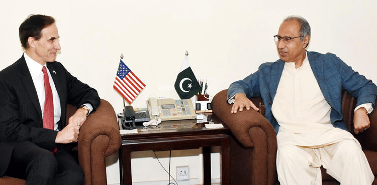 Hafeez Shaikh urges US investors to explore Pakistani market