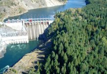 Chinese firm to complete Pakistan hydropower project by April 2021