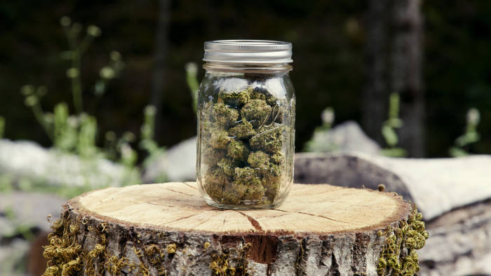 Google bans apps that facilitate sale of marijuana