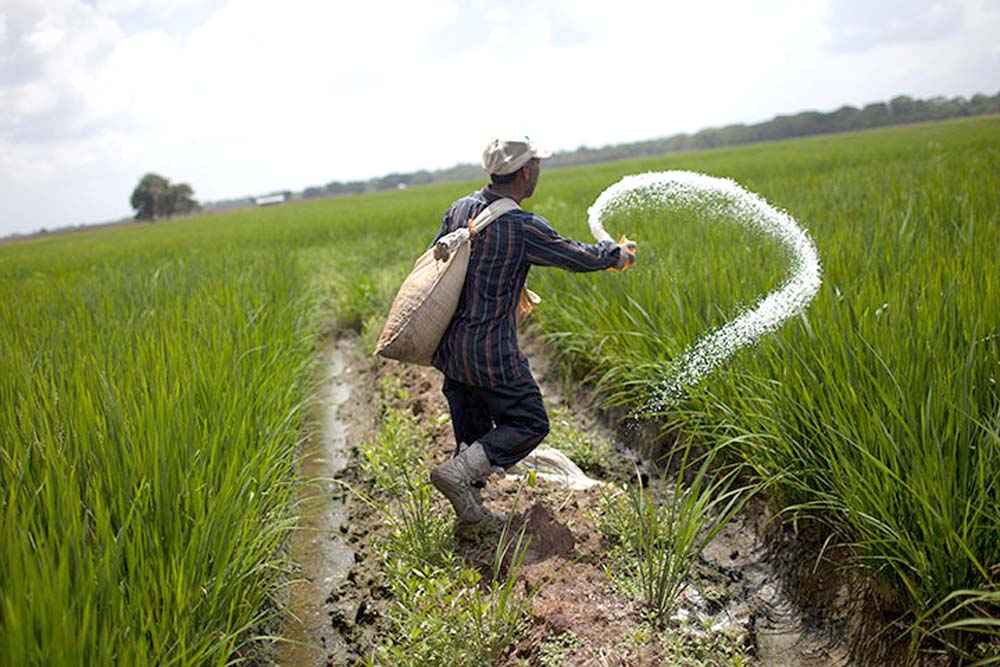 Govt urged to pay Rs20.67bn subsidy claim to fertiliser industry