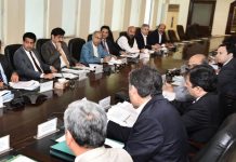 Centre to accommodate provinces through incentive grant system