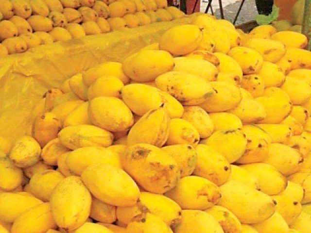 Pakistan earns $46.7m from mango exports to 42 countries - Profit by ...