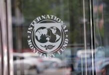 IMF not in favour of amnesty schemes: official