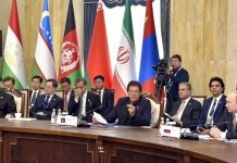 PM Imran says no to dollar at SCO