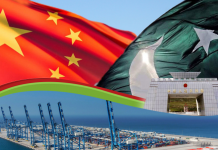 Pakistan urges African countries to benefit from CPEC framework