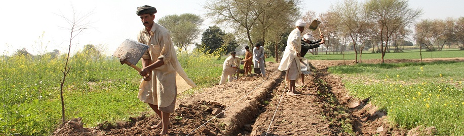 Federal government increases agriculture budget from Rs 1bn to Rs 12bn