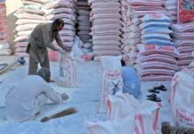Flour mills take back countrywide strike call