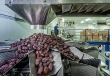 Pakistani delegation attends World Palm Dates Exhibition in Turkey