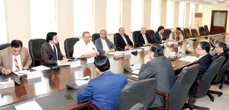 Hafeez Shaikh stresses need to incentivise real estate sector