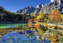 Govt to launch national tourism promotion app