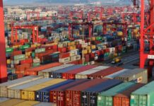 Food imports dip 19pc in July