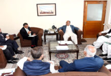 PIA urged to pursue independent, sustainable business plan