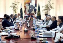 CPEC committee to discuss ML-1 financing with China