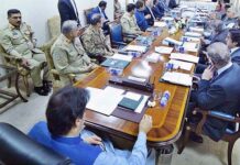 Govt forms authority to expedite CPEC projects