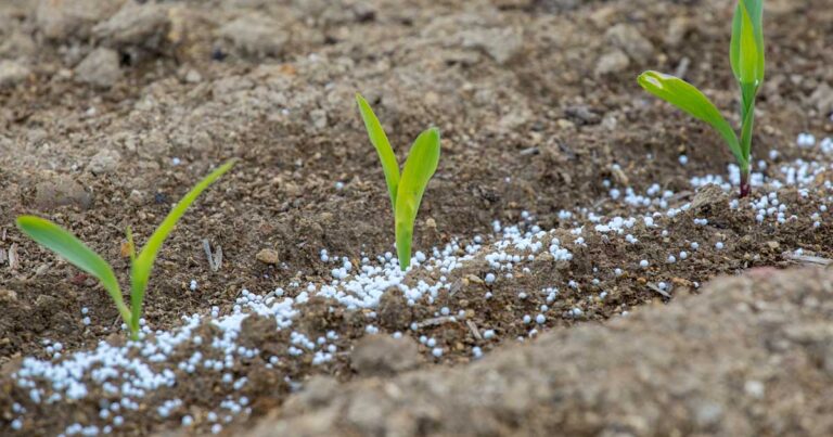 Urea offtake dips 6pc in July