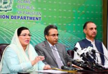 Govt to introduce new LNG policy next month, says Babar