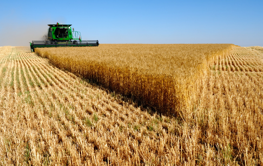 Agricultural lending floats to Rs 1.2tr despite ambitious credit goals
