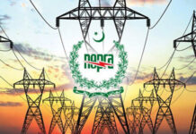 NEPRA trashes CASA-1000, urges govt to revisit power supply agreement