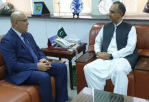 Pakistan, Uzbekistan agree to form JWG on energy