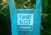 Pakistani scientist generates bio-plastic with mango kernel