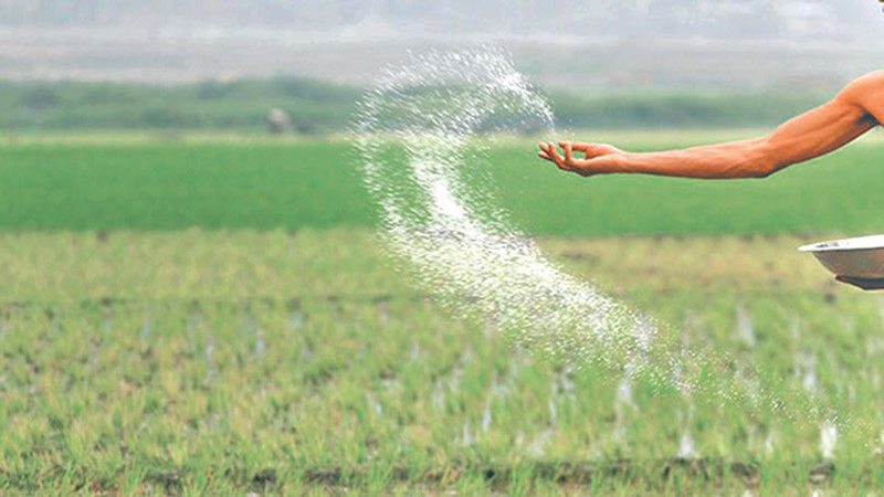 Urea offtake likely to surge 43pc in Aug