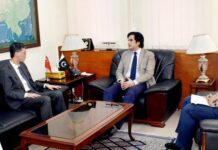 Govt committed to realising CPEC potential: minister