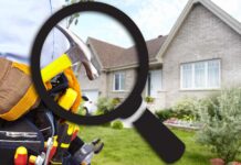 The future of domestic help is a click away, and there are already two players vying to make it their own