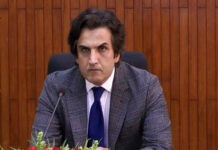 Govt committed to streamlining S&T sector: minister