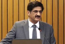 Sindh govt introduces one-window system for businesses
