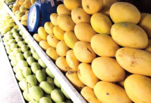 Middle East becomes top importer of Pakistani mangoes