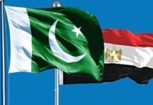 Pakistan, Egypt form joint working group on trade