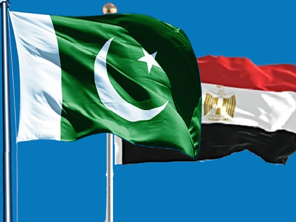 Pakistan, Egypt form joint working group on trade