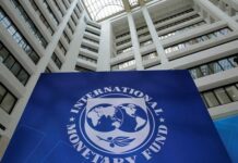 Unemployment fuelling unrest in Arab states: IMF