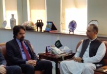 Pakistan, Turkey agree to enhance cooperation in energy sector