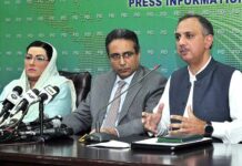 Share of clean energy to be enhanced to 65pc by 2030: minister