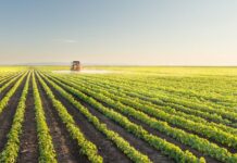 Pak-China JWG stresses crop productivity, technology transfer