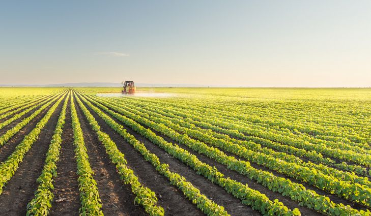 Pak-China JWG stresses crop productivity, technology transfer