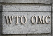 WTO panel rules India export subsidies illegal, upholds US case