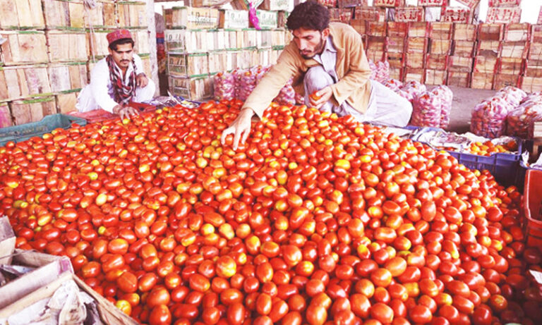 Traders demand immediate import of tomatoes from Iran