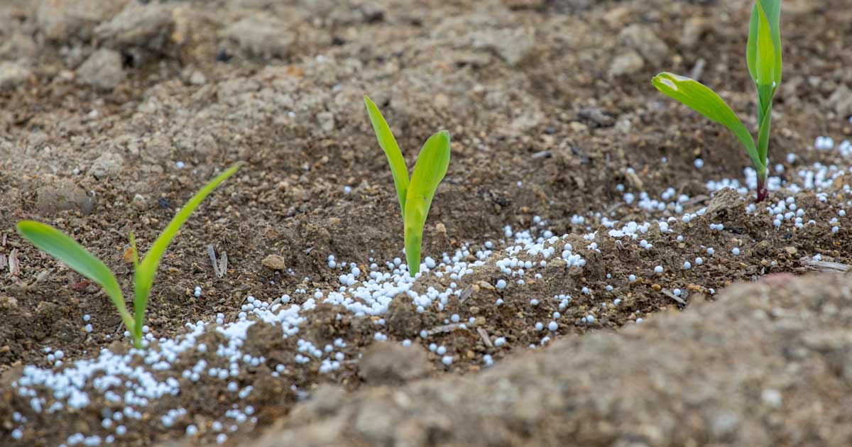 Urea sales decline 74pc in October