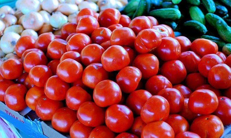 Tomato imports suffer amid protests in Iran