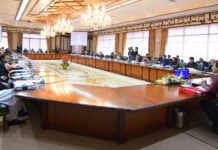 Cabinet approves Electric Motor Vehicle Policy