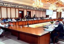 Cabinet approves first-ever National Tariff Policy