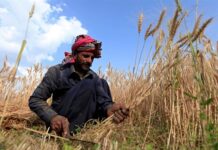 PM reaffirms support for smart subsidy