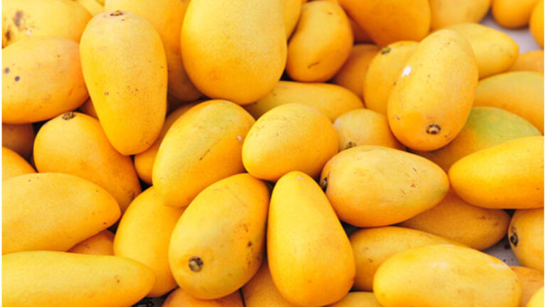 Mango exports likely to drop this year due to coronavirus
