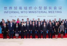 WTO urged to facilitate developing countries through multilateralism