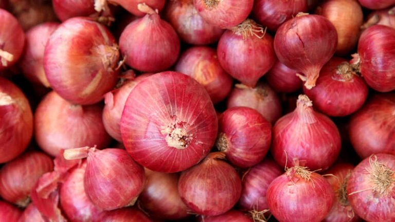 Bangladesh to import onions from Pakistan after 15-year hiatus Bangladesh to import onions from Pakistan after 15-year hiatus