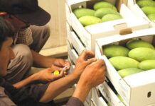 CCI decides to allow provinces to implement ‘uniform standards’