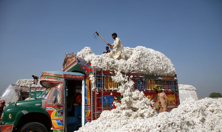 Pakistan misses cotton bales target by 7m in 2019